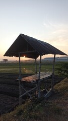 Wooden hut near green rice fields in the morning