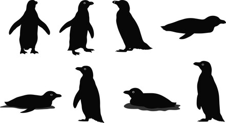 Cad drawing flat vector illustration of penguin silhouettes, black bird design, arctic wildlife animals standing walking and swimming isolated artwork