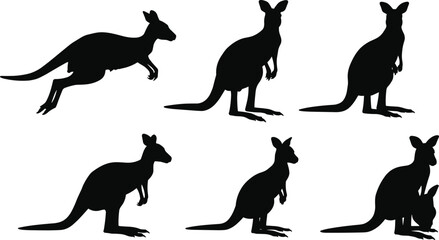 Kangaroo silhouette collection isolated on white background, Australian wildlife vector illustration, jumping and standing animal poses for nature art design