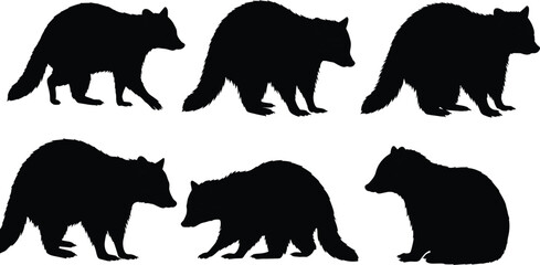 Raccoon silhouette collection, wild animal vector set, forest wildlife shadow design, black raccoon illustration, nature mammal artwork, animal graphic art