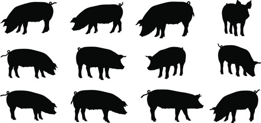 Collection of black silhouette vector illustrations of pigs standing and walking in various poses, isolated on white background, farming and livestock concept.