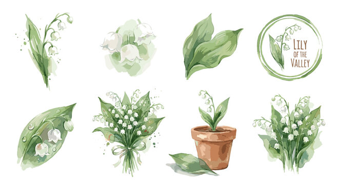 A beautiful set vector of watercolor illustrations depicting Lily of the Valley flowers, leaves, and bouquets on a white background.