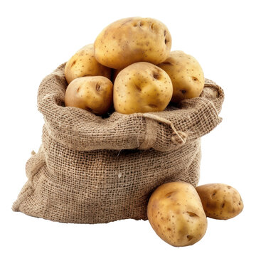 Ripe potato in burlap sack isolate on transparency background