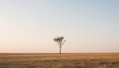 Solitary Tree Standing Tall in a Vast Field Under a Pastel Sky Landscape Simplicity