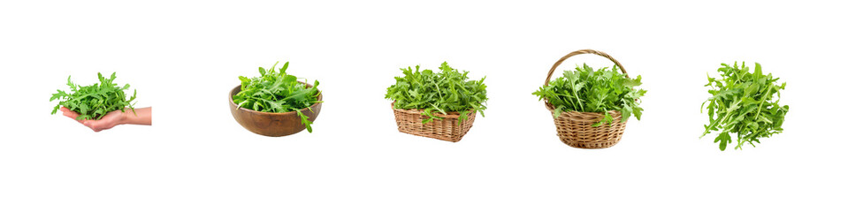 Fototapeta premium Collection of Arugula leaves isolate on transparency background