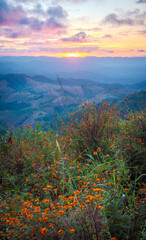 Evening Sky Mountains, Beautiful View, Tak Province, Thailand vol3