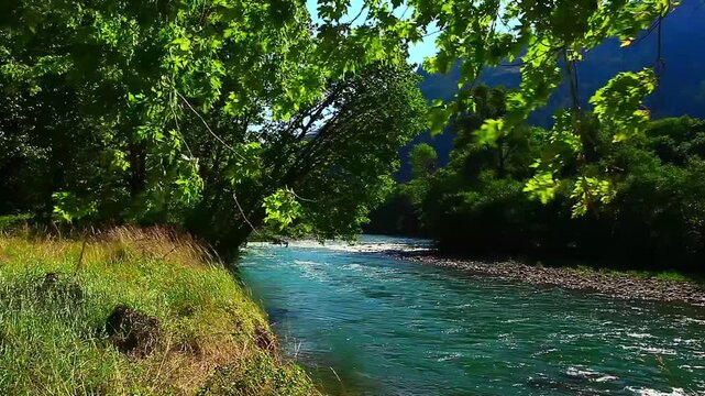  video of the Elwha River in Olympic National Park Washington State