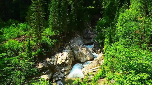 a video of Van Trump Middle falls in Mount Rainier National Park Washington State