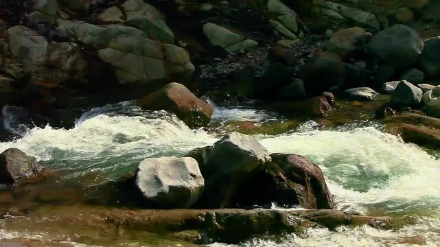  a video of Van Trump Creek in Mount Rainier National Park Washington State