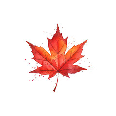 red maple leaf