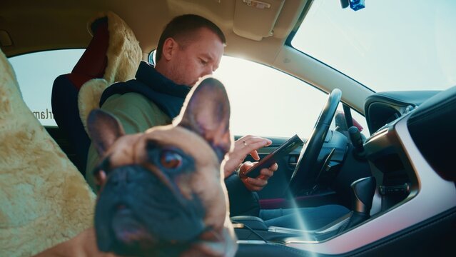 Man Sitting in Car with a Dog, Engaged with a Tablet Device, Capturing a Moment of Connection Between Pet and Owner Against a Bright Background of a Sunny Day