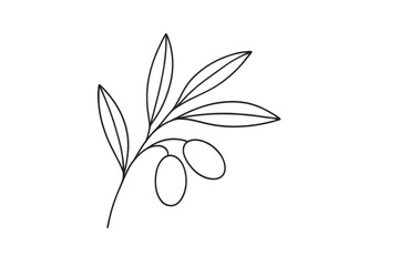 Olive branch line art icon on transparent background