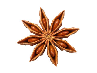 Star anise aromatic star shaped spice isolated on white background