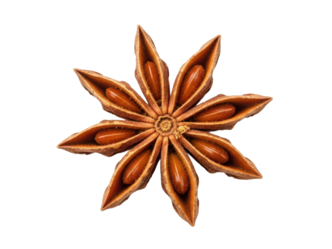 Star anise aromatic star shaped spice isolated on white background