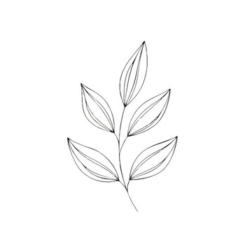 Minimalist line drawing of a leafy branch with five leaves on a white background in a simple, elegant style.