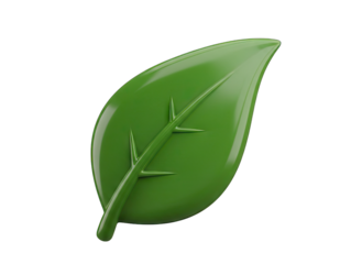 Glossy Green Leaf Icon With Veins Reflecting Light and Casting Subtle Shadow Isolated On Transparent Background