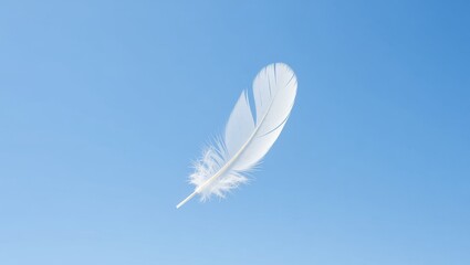 Obraz premium White feather floating against clear blue sky