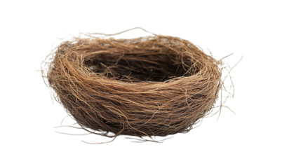 Natural empty bird nest crafted from twigs and straw, symbol of home