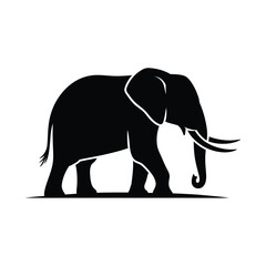 Silhouette of a majestic african elephant walking with tusks