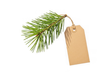 Pine branch with blank brown tag, isolated on transparent background