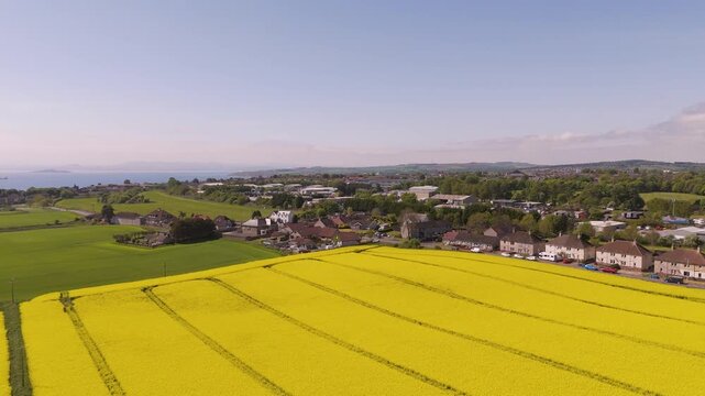 looking south from Kirkcaldy towards Edinburgh over a bright yellow rape seed field