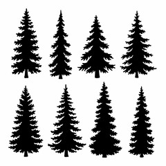 Elegant Tall Pine Tree Silhouettes: Minimalist Design Elements