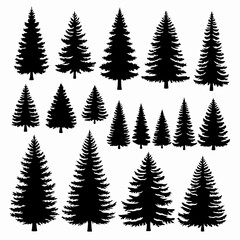 Large Set of Highly Detailed Pine and Fir Tree Silhouettes