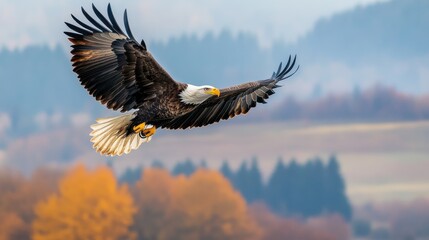 Fototapeta premium Bald Eagle in Flight Soaring Across a Mountain Landscape