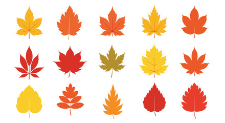 Obraz premium Colorful assortment of vibrant autumn leaves perfect for festive designs and seasonal promotions, adding warmth and charm to any creative project