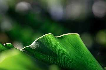 Green Future Breeze Environmental Responsibility in Focus