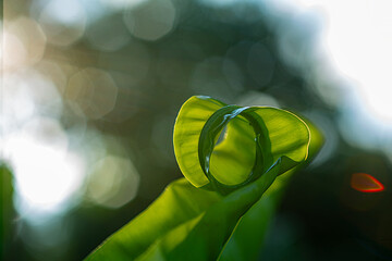 Circular Growth The Harmony of Sustainable Nature Green Loop Innovation for a Regenerative Future Eco Circle Evolution Nature’s Blueprint for ESG Sustainable Flow The Natural Cycle of Green Business