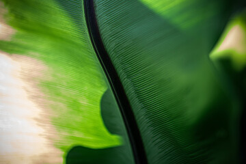 ESG A Clean and Conscious Texture Eco-Driven Texture: The Path Toward a Greener Future Green