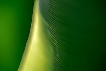 Emerald Harmony Stream A Journey to Net-ZeroClean Energy Flow  Abstract Ecosystem Movement Green Horizon Fade Vision for a Sustainable Tomorrow Eco Balance Wave Nature-Inspired ESG Aesthetics