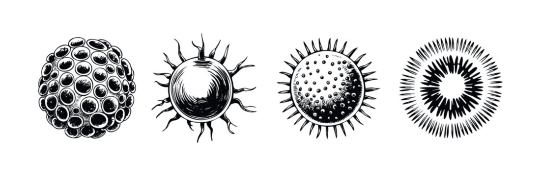 Collection of four distinct spherical microbe or virus representations in a scientific or medical context for use in research or educational materials