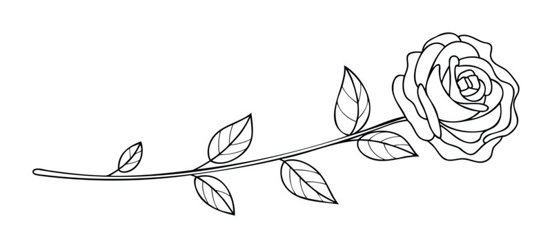 Delicate line art of a single rose with flowing stem and leaves, perfect for romantic invitations, wedding stationery, and elegant branding projects.