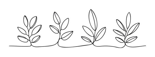 Simple line drawing of branches with leaves in a horizontal arrangement, suitable for minimalist branding and decorative elements for nature themes.