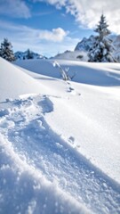 Snowy landscape with tracks, trees, and mountains under a blue sky