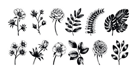 Collection of hand drawn botanical elements and floral motifs for decorative use in graphic projects and invitations