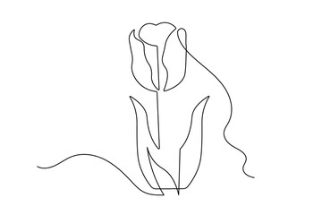 Continuous line drawing of tulip flower icon minimalist style isolate