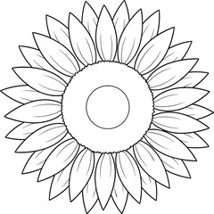Detailed Sunflower Flower Head Line Art Illustration, Botanical Vector Drawing, Elegant Outline for Coloring Book Page, Summer Floral Design Element Isolated on White