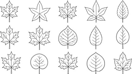 Set of Various Tree Leaves Black Outline Vector Illustrations, Including Maple and Aspen, Perfect for Autumn Decorations, Nature Guides, Coloring Pages, and Educational Materials.