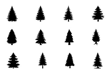 Obraz premium Pine trees silhouette set on white background. Symbol of pine tree. Set of black pine tree vector