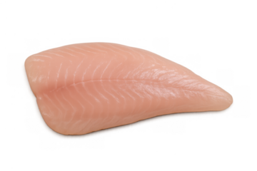 Raw tilapia fish fillet, a fresh boneless seafood option, healthy protein for cooking, isolated with transparent background
