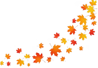 Autumn leaves falling isolated on transparent background in a gentle curve pattern