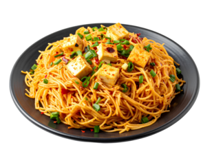Spicy schezwan hakka noodles with paneer cubes and vegetables served on a plate, isolated on a transparent background, PNG
