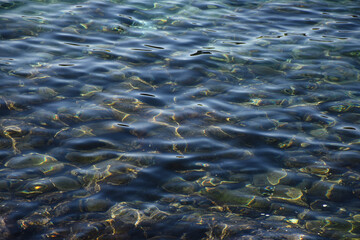 揺らめく透明な海水の水面