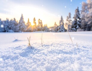 Snowy field with trees and setting sun, snowflakes drifting