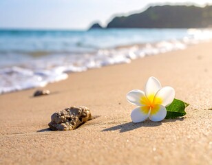 Sunny beach scene with a plumeria flower and a rock