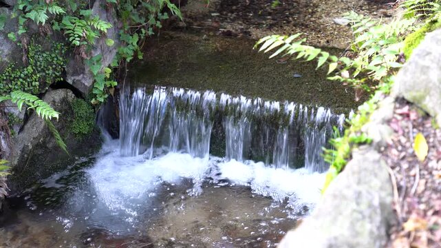 日本の風景映像　田舎のきれいな川の流れ