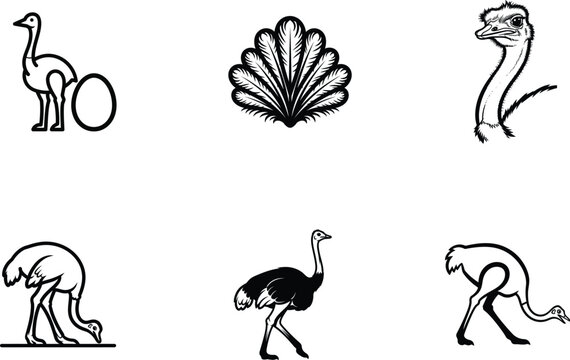 Elegant Ostrich Silhouette Designs Collection Featuring Feathers and Bird Illustrations with Clean Lines and Simplified Forms for Graphics Projects and Wildlife Inspired Artwork